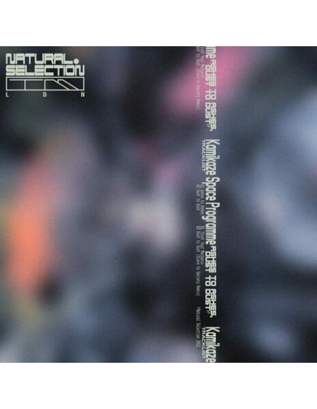 Kamikaze Space Programme - Ashes To Ashes