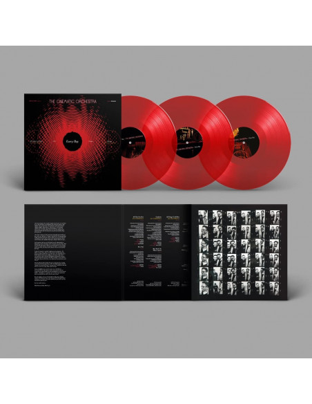 The Cinematic Orchestra - Every Day 20Th