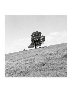 Blank Gloss - Blank Gloss-Cornered Cd - (CD)