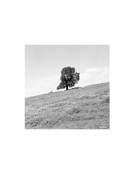 Blank Gloss - Blank Gloss-Cornered Cd - (CD)