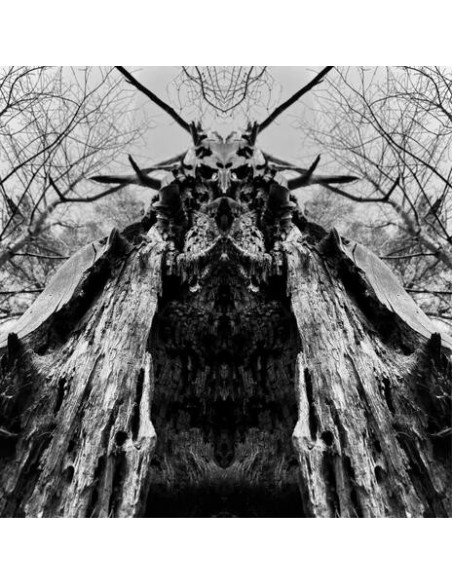 Rulaman - To Serve The Dune - (CD)