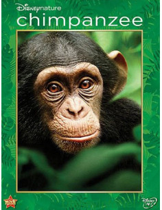 Chimpanzee
