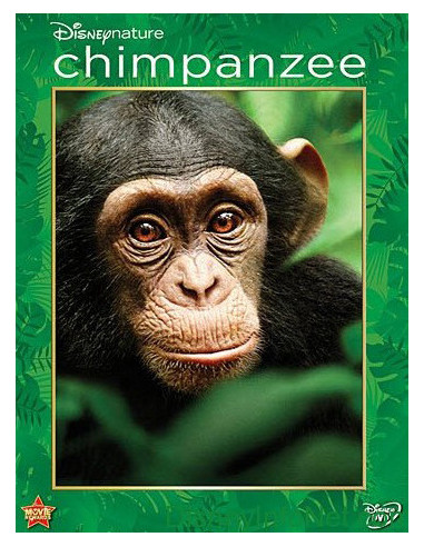 Chimpanzee