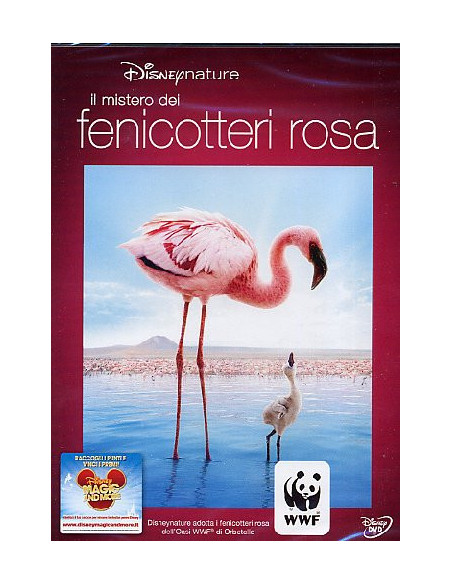 Mistero Dei Fenicotteri Rosa (Il)