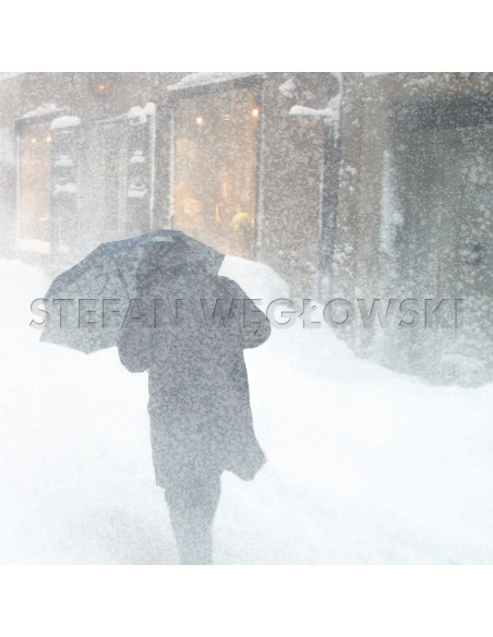 Weglowski Stefan - Smooth Inertia - (CD)