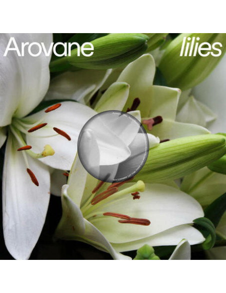 Arovane - Lilies