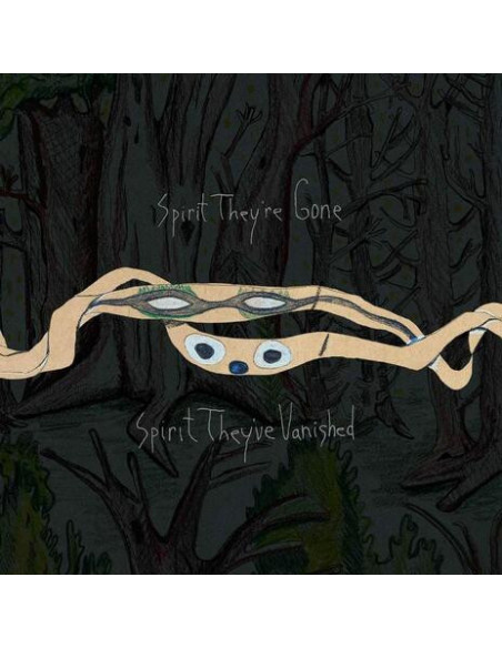 Animal Collective - Spirit They'Re Gone, Spirit They'Ve Vani