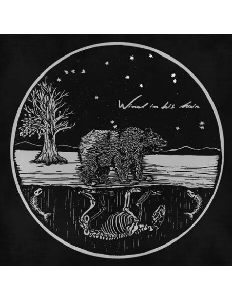 Wind In His Hair - Future Primitives - (CD)