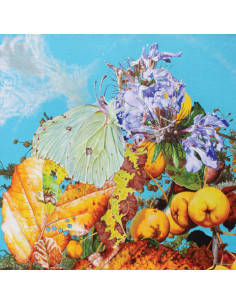 Bennett Wilson Poole - I Saw A Star Behind Your Eyes, Don T Let - (CD)