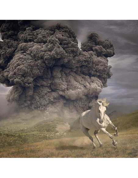 The White Buffalo - Year Of The Dark Horse - Opaque Grey Vin