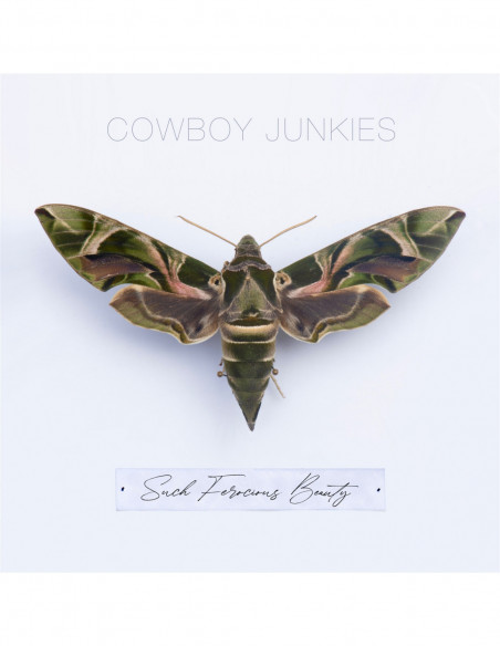 Cowboy Junkies - Such Ferocious Beauty - (CD)
