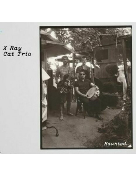 X-Ray Cat Trio - Haunted