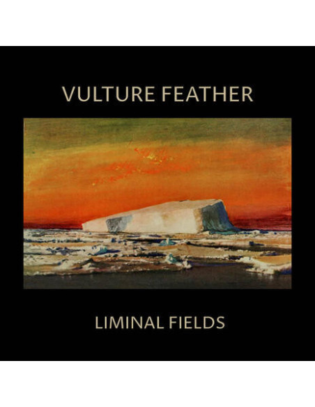 Vulture Feather - Liminal Fields (Bone Vinyl)