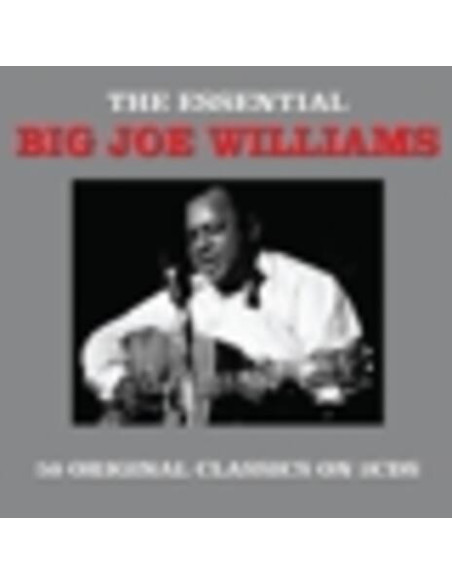 Big Joe Williams - Essential - (CD)