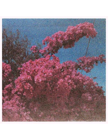 Klinck, Elisabeth - Picture A Frame (White Vinyl)