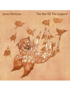 James Yorkston - Year Of The Leopard