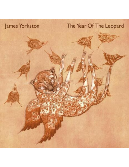 James Yorkston - Year Of The Leopard