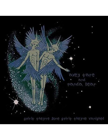 Animal Collective - Spirit They'Re Gone, Spirit They'Ve Vanished - (CD)