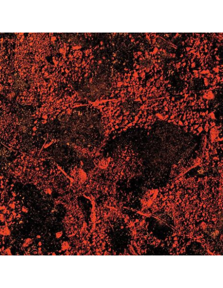 King Gizzard and The Lizard Wizard - Murder Of The Universe (Translucent White)
