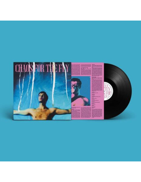 Grian Chatten - Chaos For The Fly