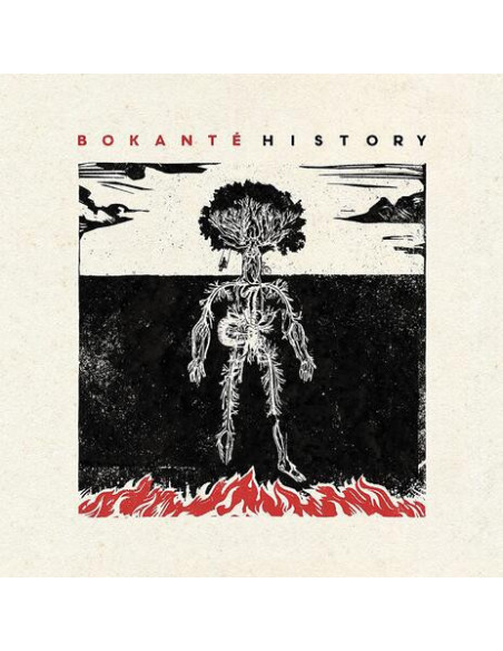 Bokante - History