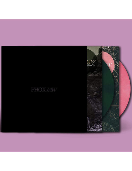 Phoxjaw - Goodbye Dinosaur / Playground For Sad Adults