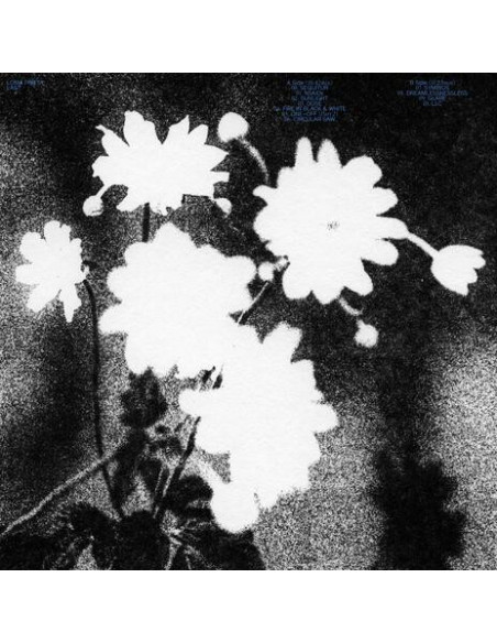 Loma Prieta - Last - Light Blue Vinyl