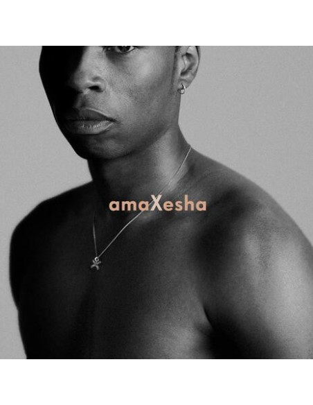 Bongeziwe Mabandla - Amaxesha