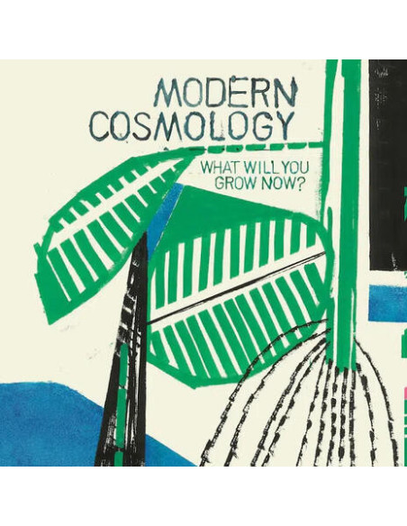 Modern Cosmology - What Will You Grow Now?