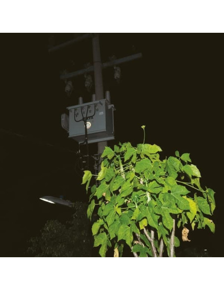 Lelasi Giuseppe - Down On Darkened Meetings (Lp + Download)