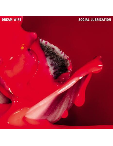 Dream Wife - Social Lubrication - (CD)