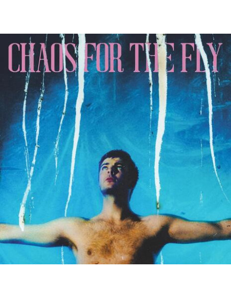 Grian Chatten - Chaos For The Fly - (CD)
