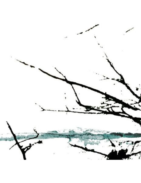 Tenhi - Vare - (CD)