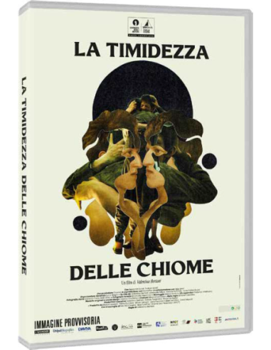 Timidezza Delle Chiome (La)