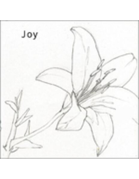 Joy - Joy