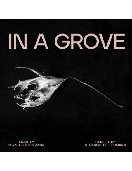 Cerrone, Christopher - In A Grove - (CD)
