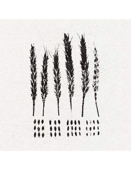 Lo! - The Gleaners