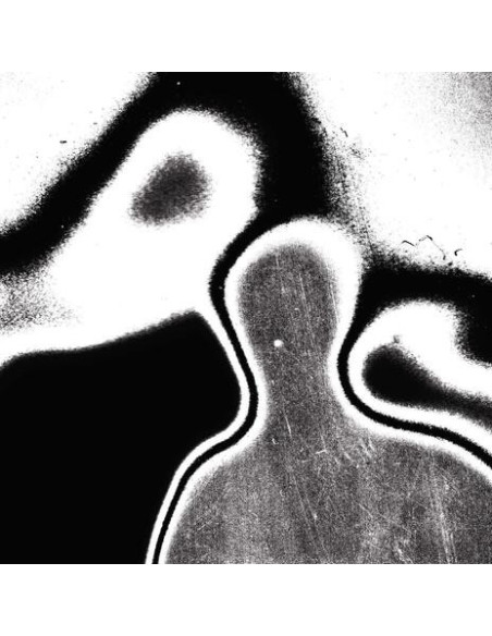 Lunacy - Universal Pressure