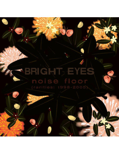 Bright Eyes - Noise Floor: A...
