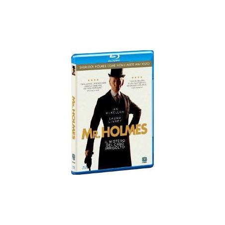 Mr. Holmes - Il Mistero Del Caso Irrisolto (Blu Ray)