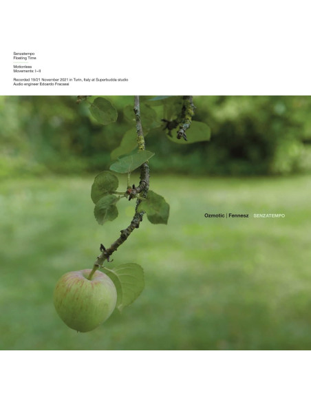 Ozmotic and Fennesz - Ozmotic and Fennesz-Senzatempo Lp