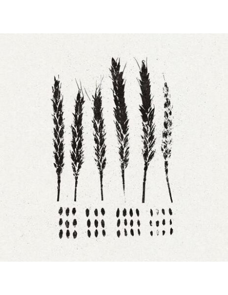 Lo! - The Gleaners - (CD)