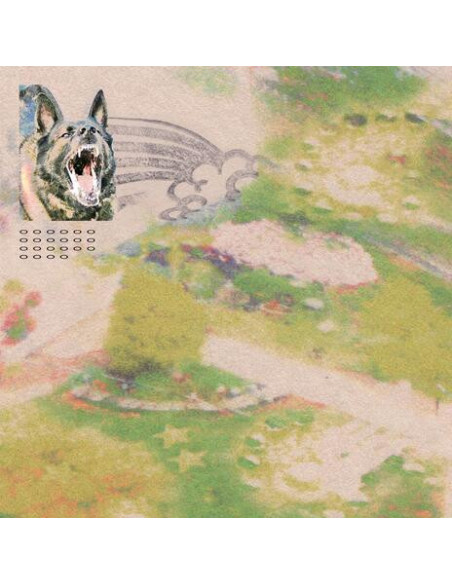 Feeble Little Horse - Girl With Fish - (CD)