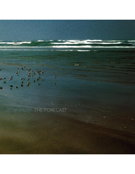 Downpilot - The Forecast - (CD)