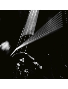 Arnold Dreyblatt And - Resolve