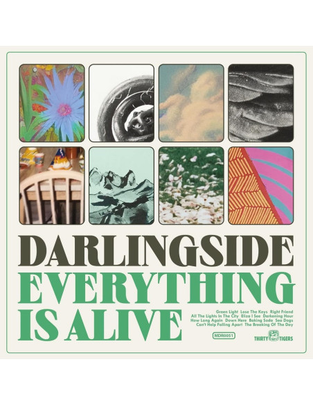 Darlingside - Everything Is Alive