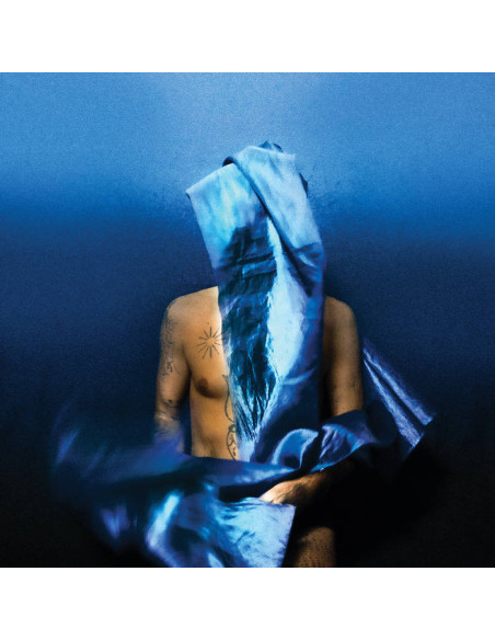 Banhart, Devendra - Flying Wig - (CD)