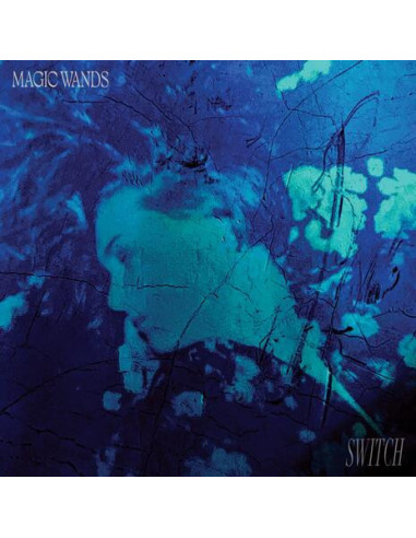 Magic Wands - Switch