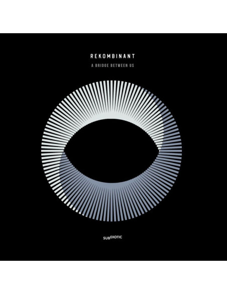 Rekombinant - A Bridge Between Us