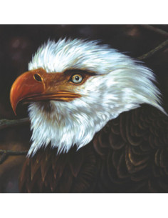 Mogwai - The Hawk Is Howling (White Vinyl)